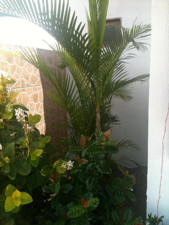 برايا دو فرانسيس Pousada Torre Do Sol المظهر الخارجي الصورة
